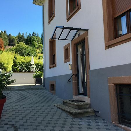 Les Magnolias En Alsace - Meuble De Tourisme 3 Etoiles Apartment Barembach Exterior photo