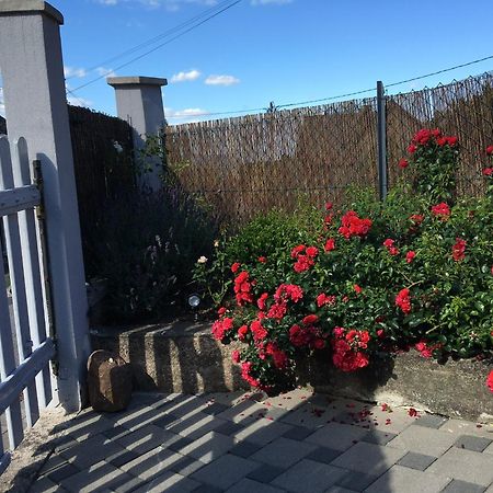 Les Magnolias En Alsace - Meuble De Tourisme 3 Etoiles Apartment Barembach Exterior photo