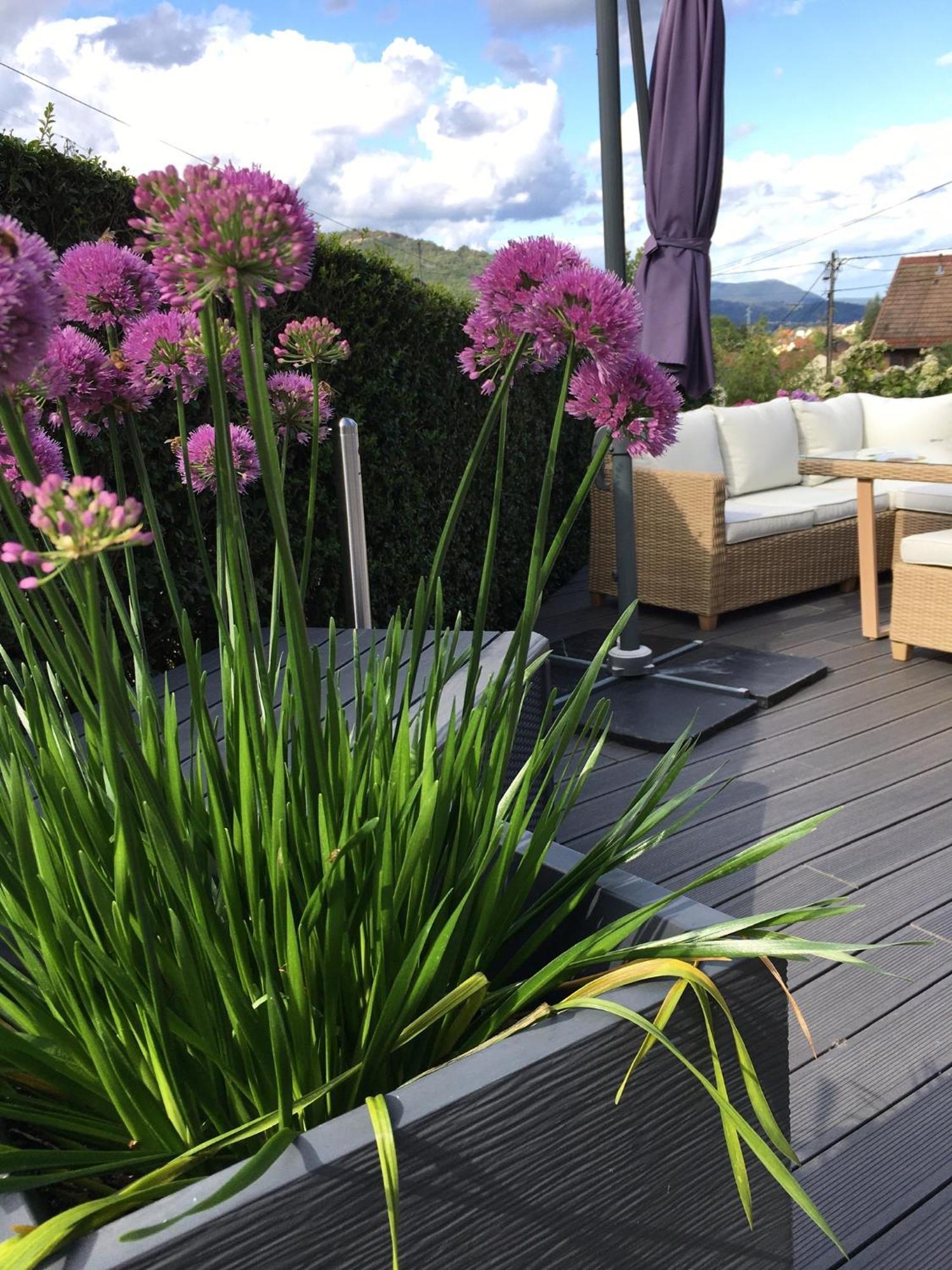 Les Magnolias En Alsace - Meuble De Tourisme 3 Etoiles Apartment Barembach Exterior photo