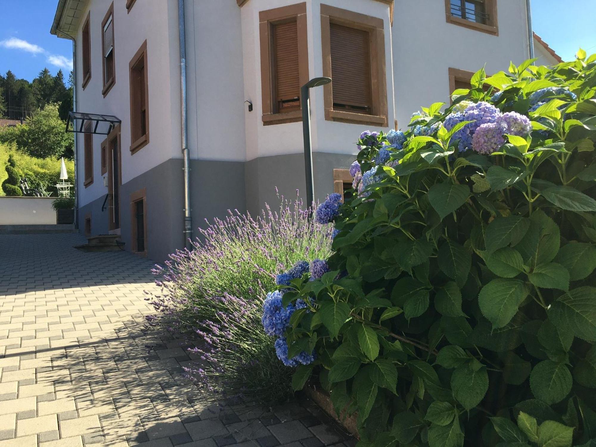 Les Magnolias En Alsace - Meuble De Tourisme 3 Etoiles Apartment Barembach Exterior photo