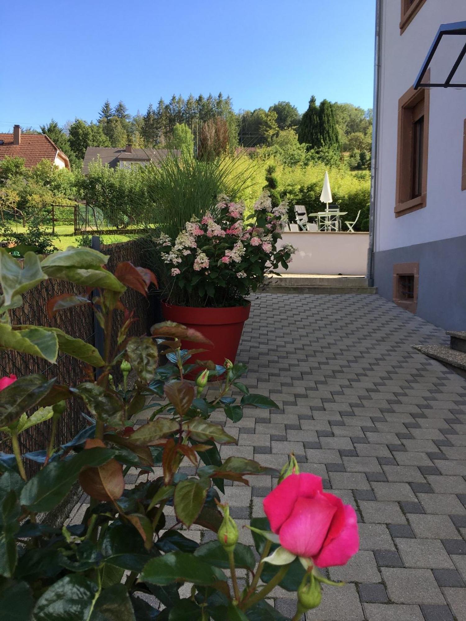 Les Magnolias En Alsace - Meuble De Tourisme 3 Etoiles Apartment Barembach Exterior photo