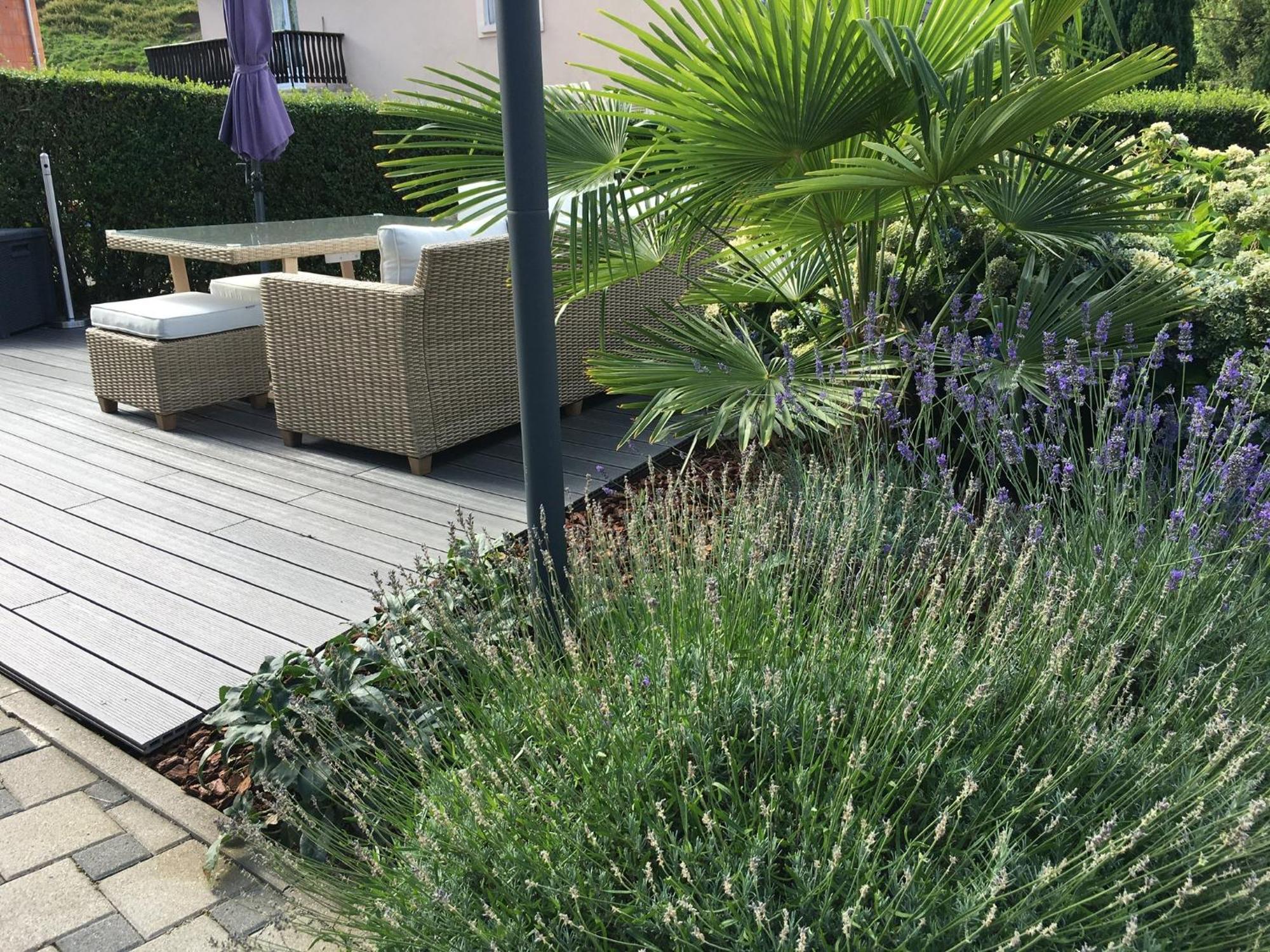 Les Magnolias En Alsace - Meuble De Tourisme 3 Etoiles Apartment Barembach Exterior photo