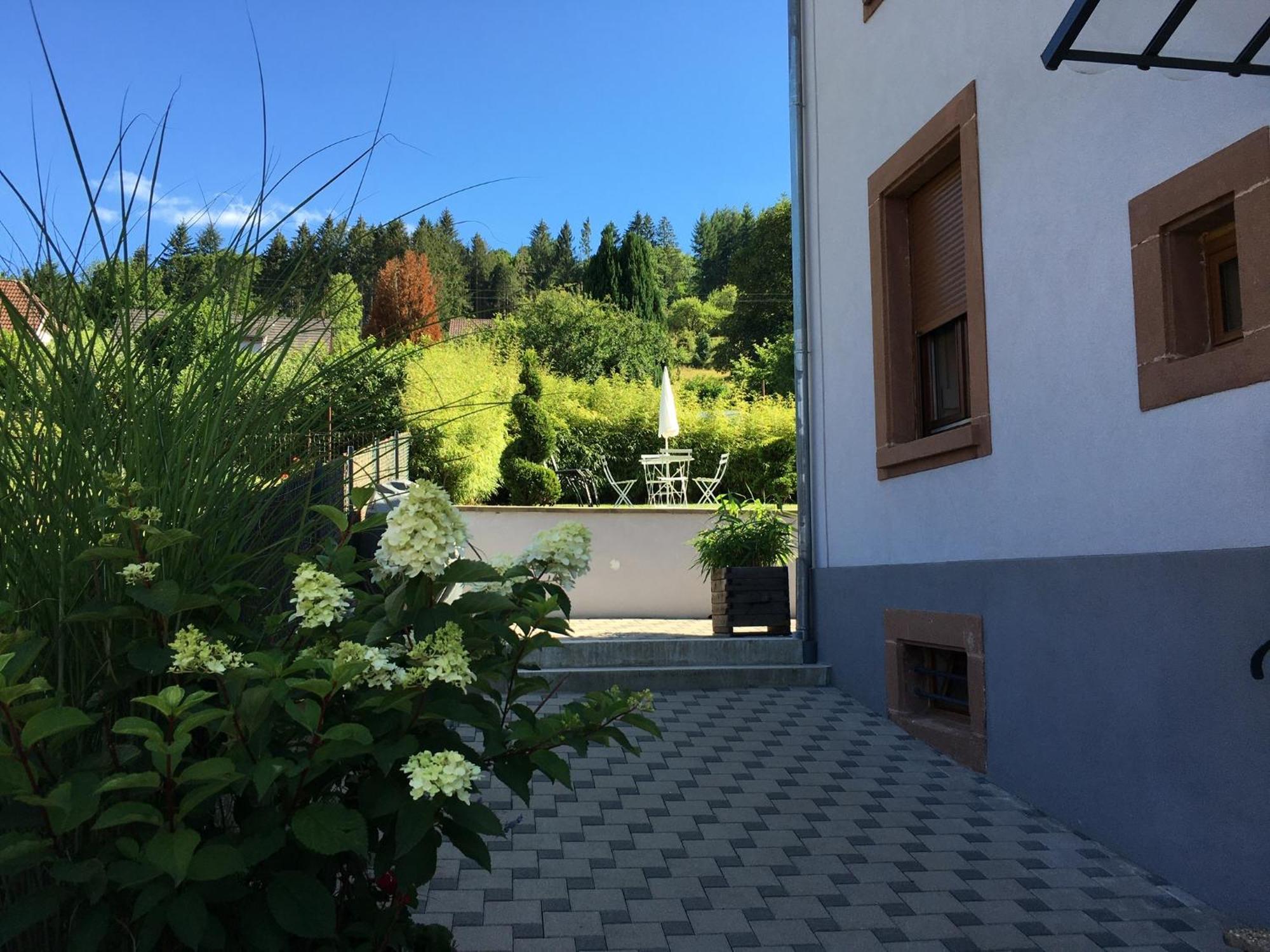 Les Magnolias En Alsace - Meuble De Tourisme 3 Etoiles Apartment Barembach Exterior photo